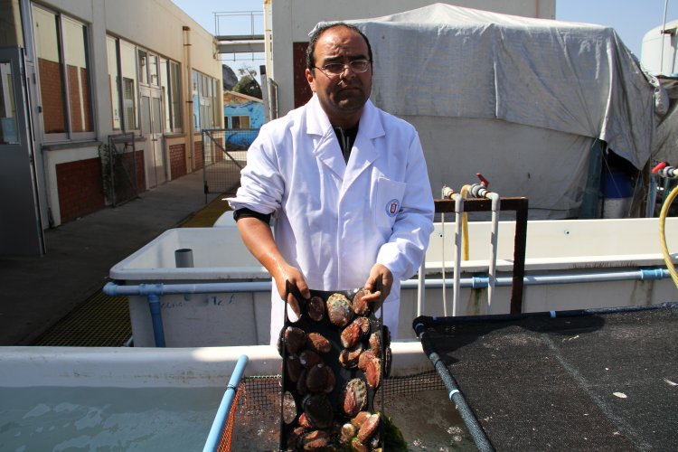 GOBIERNO IMPULSA NUEVO CENTRO DE INVESTIGACIÓN PARA DESARROLLAR LA PRODUCCIÓN DE INDUSTRIA ACUÍCOLA