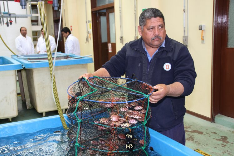 GOBIERNO IMPULSA NUEVO CENTRO DE INVESTIGACIÓN PARA DESARROLLAR LA PRODUCCIÓN DE INDUSTRIA ACUÍCOLA