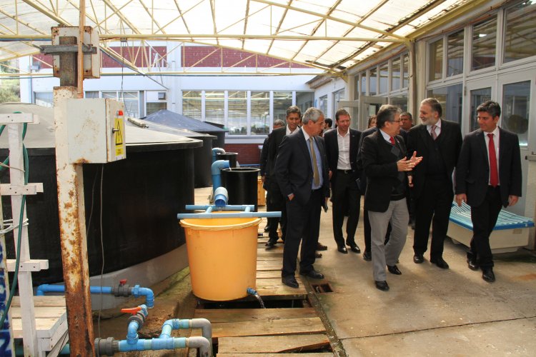 GOBIERNO IMPULSA NUEVO CENTRO DE INVESTIGACIÓN PARA DESARROLLAR LA PRODUCCIÓN DE INDUSTRIA ACUÍCOLA