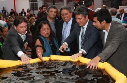 GOBIERNO REGIONAL LLAMA A POSTULAR A FONDOS DE INNOVACIÓN CON PROYECTOS DE DIVERSIFICACIÓN PRODUCTIVA