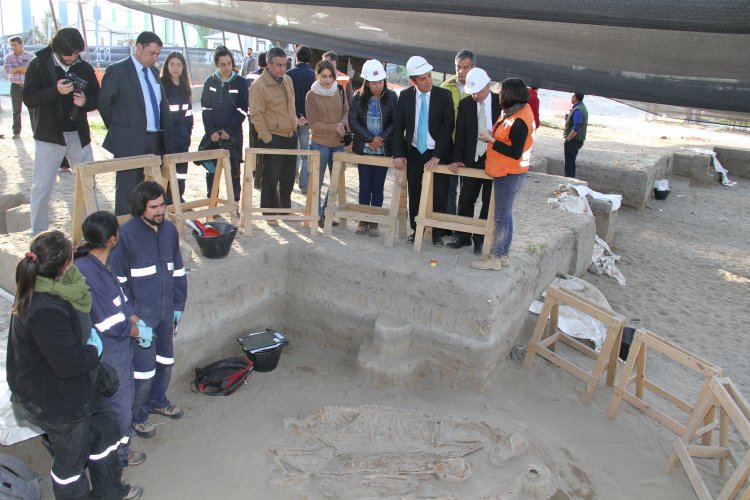 NUEVO HALLAZGO EN SITIO EL OLIVAR ENTREGA INÉDITOS ANTECEDENTES SOBRE LA CULTURA PREHISPÁNICA DE LAS ÁNIMAS