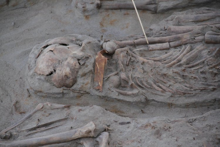 NUEVO HALLAZGO EN SITIO EL OLIVAR ENTREGA INÉDITOS ANTECEDENTES SOBRE LA CULTURA PREHISPÁNICA DE LAS ÁNIMAS