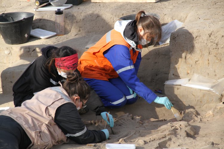 NUEVO HALLAZGO EN SITIO EL OLIVAR ENTREGA INÉDITOS ANTECEDENTES SOBRE LA CULTURA PREHISPÁNICA DE LAS ÁNIMAS