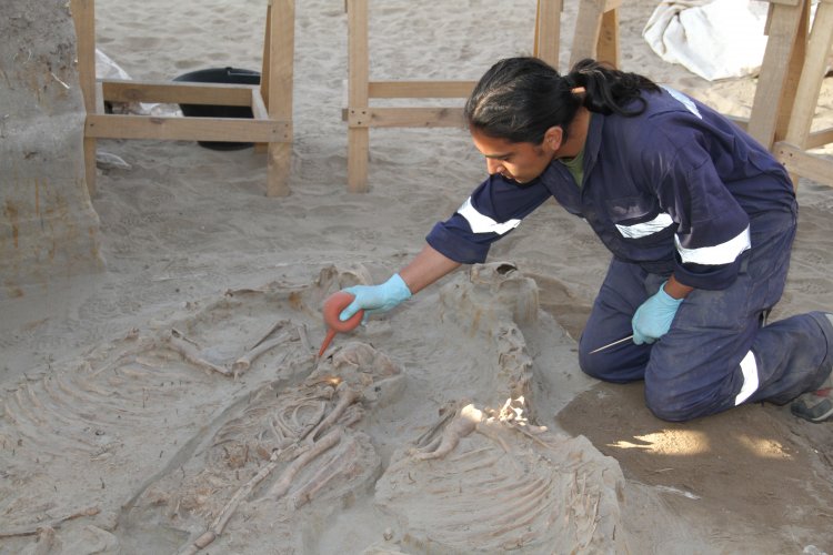 NUEVO HALLAZGO EN SITIO EL OLIVAR ENTREGA INÉDITOS ANTECEDENTES SOBRE LA CULTURA PREHISPÁNICA DE LAS ÁNIMAS