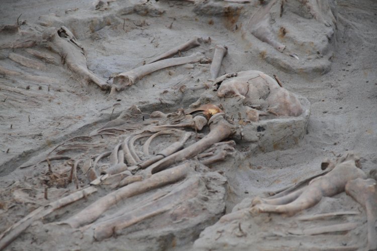 NUEVO HALLAZGO EN SITIO EL OLIVAR ENTREGA INÉDITOS ANTECEDENTES SOBRE LA CULTURA PREHISPÁNICA DE LAS ÁNIMAS