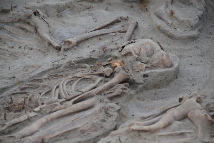 NUEVO HALLAZGO EN SITIO EL OLIVAR ENTREGA INÉDITOS ANTECEDENTES SOBRE LA CULTURA PREHISPÁNICA DE LAS ÁNIMAS