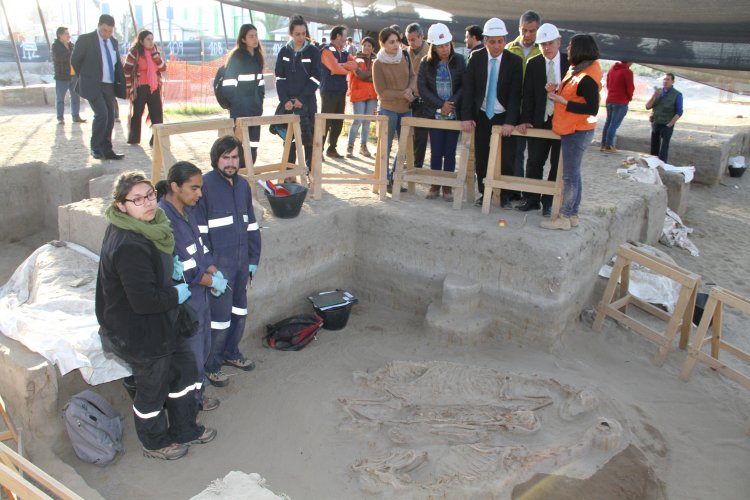 NUEVO HALLAZGO EN SITIO EL OLIVAR ENTREGA INÉDITOS ANTECEDENTES SOBRE LA CULTURA PREHISPÁNICA DE LAS ÁNIMAS