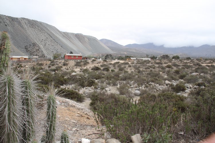 LUEGO DE 30 AÑOS SIN LUZ, EL ROMERAL RECIBE SUMINISTRO ELÉCTRICO CON APOYO DEL GOBIERNO Y SECTOR PRIVADO