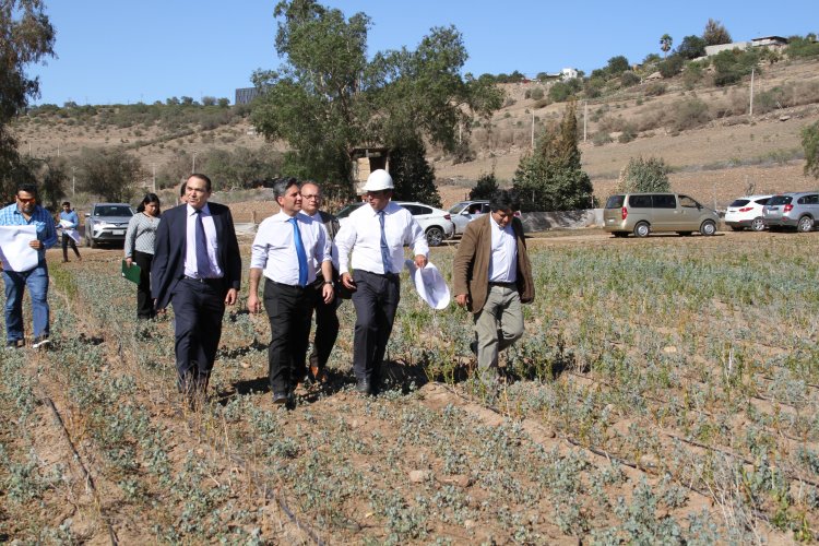 DESTACAN APORTE A LA EDUCACIÓN DEL CENTRO DE FORMACIÓN TÉCNICA ESTATAL EN OVALLE