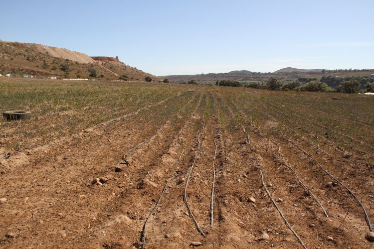 DESTACAN APORTE A LA EDUCACIÓN DEL CENTRO DE FORMACIÓN TÉCNICA ESTATAL EN OVALLE