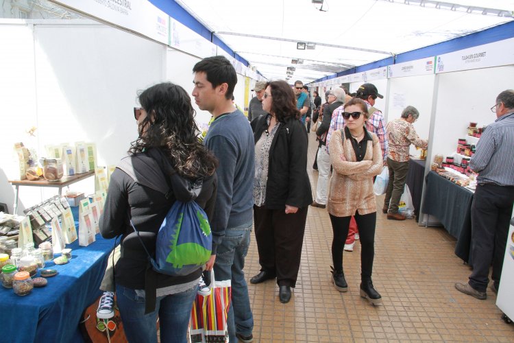 MÁS DE 60 MICRO Y PEQUEÑAS EMPRESAS REGIONALES OFRECERÁN SUS PRODUCTOS EN FERIA “EXPO MIPE”