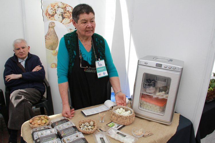 MÁS DE 60 MICRO Y PEQUEÑAS EMPRESAS REGIONALES OFRECERÁN SUS PRODUCTOS EN FERIA “EXPO MIPE”