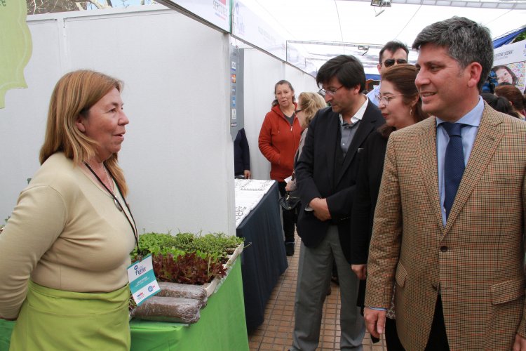 MÁS DE 60 MICRO Y PEQUEÑAS EMPRESAS REGIONALES OFRECERÁN SUS PRODUCTOS EN FERIA “EXPO MIPE”