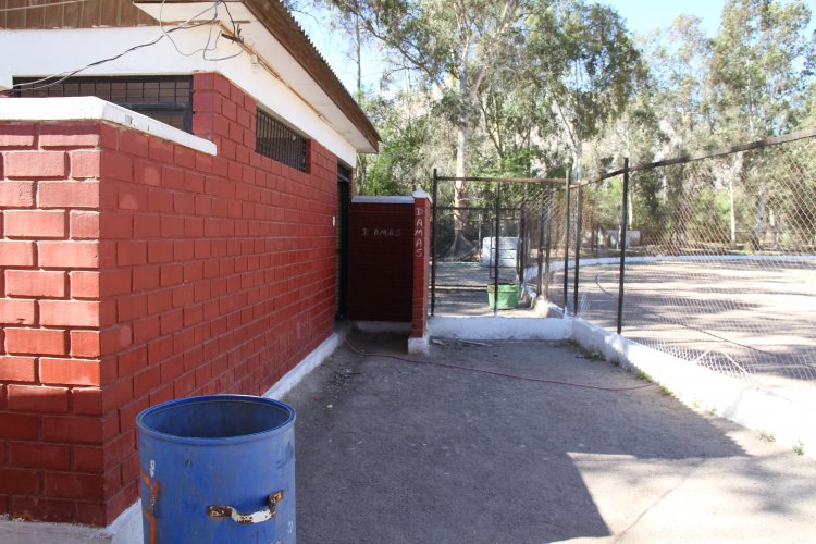 GOBIERNO REGIONAL CONCRETARÁ ANHELADO ESTADIO MUNICIPAL DE VICUÑA