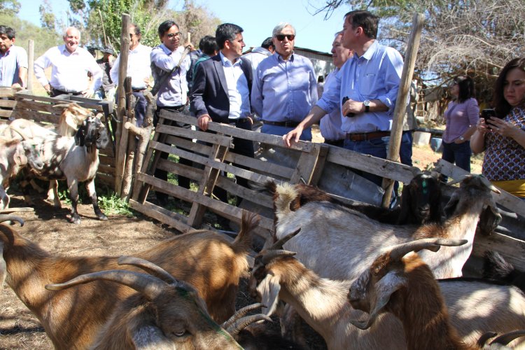 CON MASIVO ENCUENTRO DE LÍDERES CAMPESINAS DE LIMARÍ Y CHOAPA CONMEMORAN DÍA INTERNACIONAL DE LA MUJER RURAL