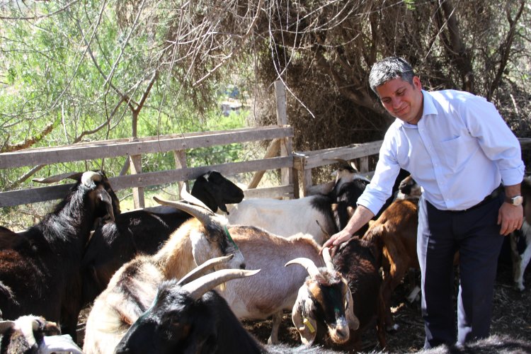 CON MASIVO ENCUENTRO DE LÍDERES CAMPESINAS DE LIMARÍ Y CHOAPA CONMEMORAN DÍA INTERNACIONAL DE LA MUJER RURAL