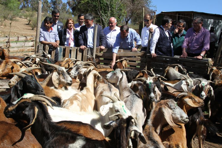 CON MASIVO ENCUENTRO DE LÍDERES CAMPESINAS DE LIMARÍ Y CHOAPA CONMEMORAN DÍA INTERNACIONAL DE LA MUJER RURAL