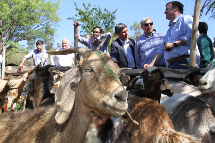 CON MASIVO ENCUENTRO DE LÍDERES CAMPESINAS DE LIMARÍ Y CHOAPA CONMEMORAN DÍA INTERNACIONAL DE LA MUJER RURAL