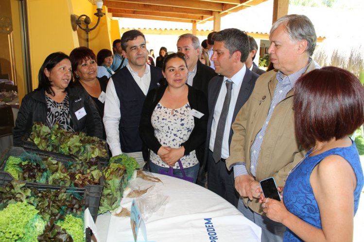 CON MASIVO ENCUENTRO DE LÍDERES CAMPESINAS DE LIMARÍ Y CHOAPA CONMEMORAN DÍA INTERNACIONAL DE LA MUJER RURAL