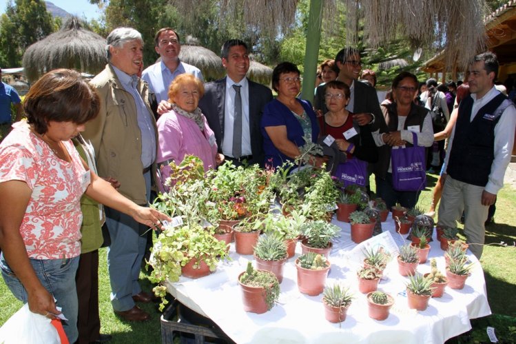 CON MASIVO ENCUENTRO DE LÍDERES CAMPESINAS DE LIMARÍ Y CHOAPA CONMEMORAN DÍA INTERNACIONAL DE LA MUJER RURAL