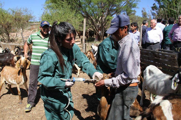 CON MASIVO ENCUENTRO DE LÍDERES CAMPESINAS DE LIMARÍ Y CHOAPA CONMEMORAN DÍA INTERNACIONAL DE LA MUJER RURAL