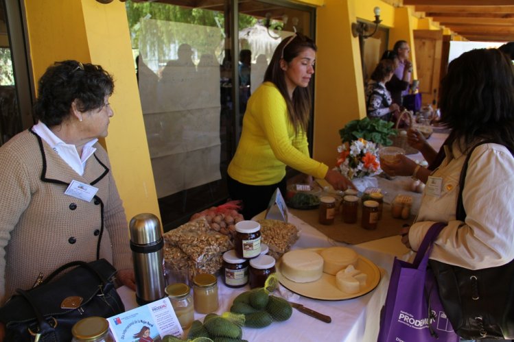 CON MASIVO ENCUENTRO DE LÍDERES CAMPESINAS DE LIMARÍ Y CHOAPA CONMEMORAN DÍA INTERNACIONAL DE LA MUJER RURAL