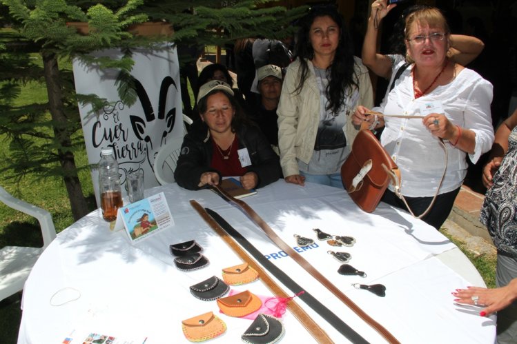 CON MASIVO ENCUENTRO DE LÍDERES CAMPESINAS DE LIMARÍ Y CHOAPA CONMEMORAN DÍA INTERNACIONAL DE LA MUJER RURAL