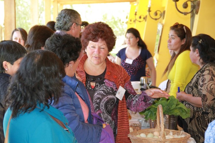 CON MASIVO ENCUENTRO DE LÍDERES CAMPESINAS DE LIMARÍ Y CHOAPA CONMEMORAN DÍA INTERNACIONAL DE LA MUJER RURAL