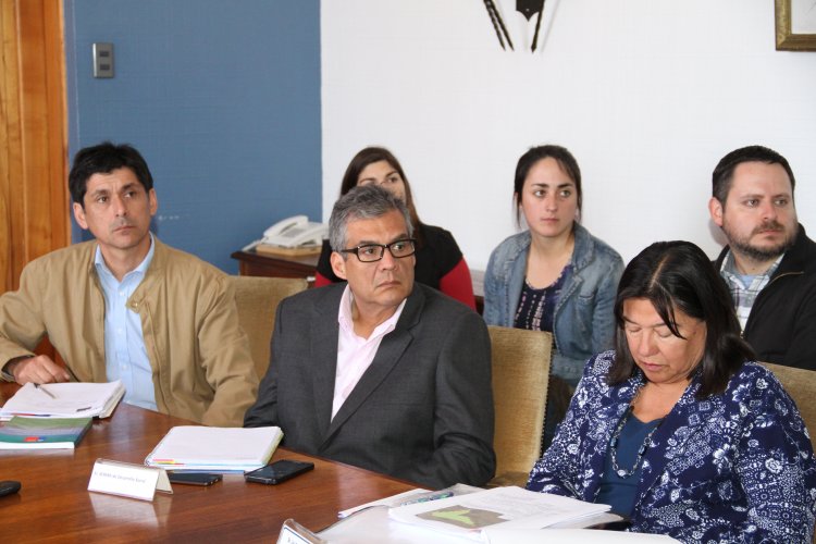 GOBIERNO APRUEBA NUEVO PARQUE DE ENERGÍA SOLAR QUE INVERTIRÁ 200 MILLONES DE DÓLARES EN LA HIGUERA