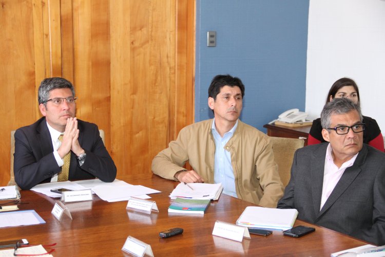 GOBIERNO APRUEBA NUEVO PARQUE DE ENERGÍA SOLAR QUE INVERTIRÁ 200 MILLONES DE DÓLARES EN LA HIGUERA