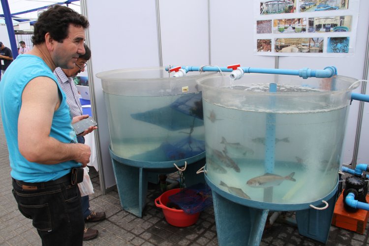 GOBIERNO DESTACA LOGROS DE LA REFORMA EDUCACIONAL EN PROMOCIÓN DE LA CIENCIA Y LA INVESTIGACIÓN
