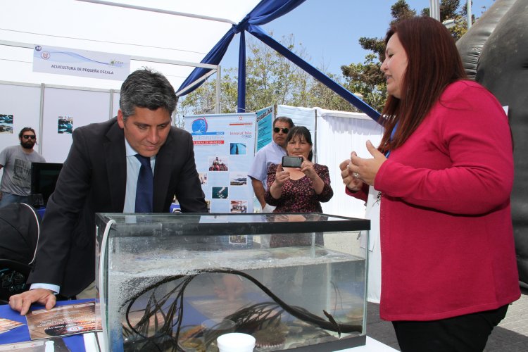 GOBIERNO DESTACA LOGROS DE LA REFORMA EDUCACIONAL EN PROMOCIÓN DE LA CIENCIA Y LA INVESTIGACIÓN