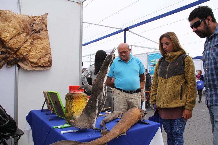 GOBIERNO DESTACA LOGROS DE LA REFORMA EDUCACIONAL EN PROMOCIÓN DE LA CIENCIA Y LA INVESTIGACIÓN
