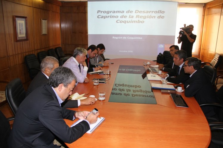 INTENDENTE IBÁÑEZ PRESENTÓ PROGRAMA DE DESARROLLO CAPRINO A MINISTRO DE AGRICULTURA