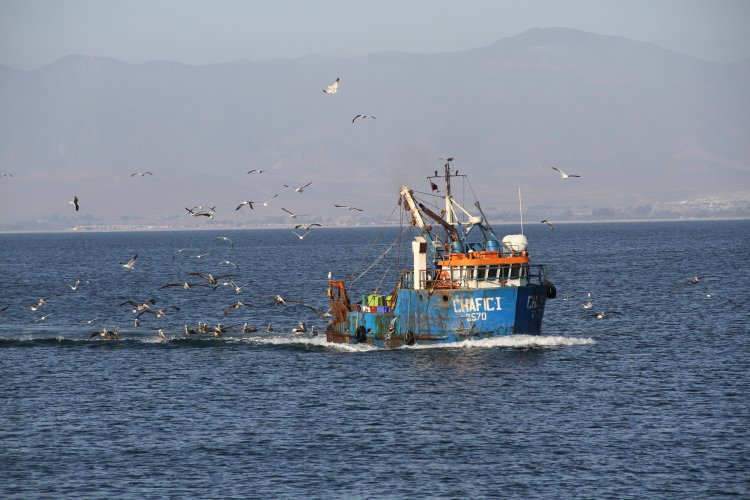 PUERTO DE COQUIMBO CUMPLE CON SU RECONSTRUCCIÓN E INICIA TEMPORADA DE LA FRUTA EN LA REGIÓN