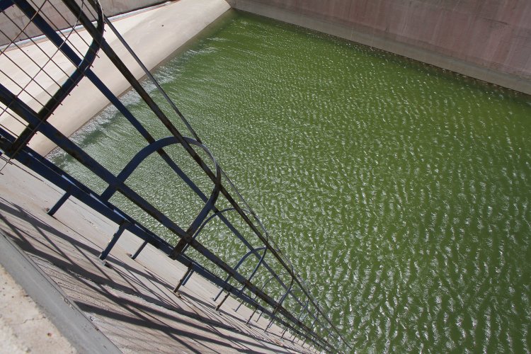 EMBALSE PUCLARO ES EL CUARTO DE LA REGIÓN DE COQUIMBO EN LLEGAR A LA CAPACIDAD MÁXIMA