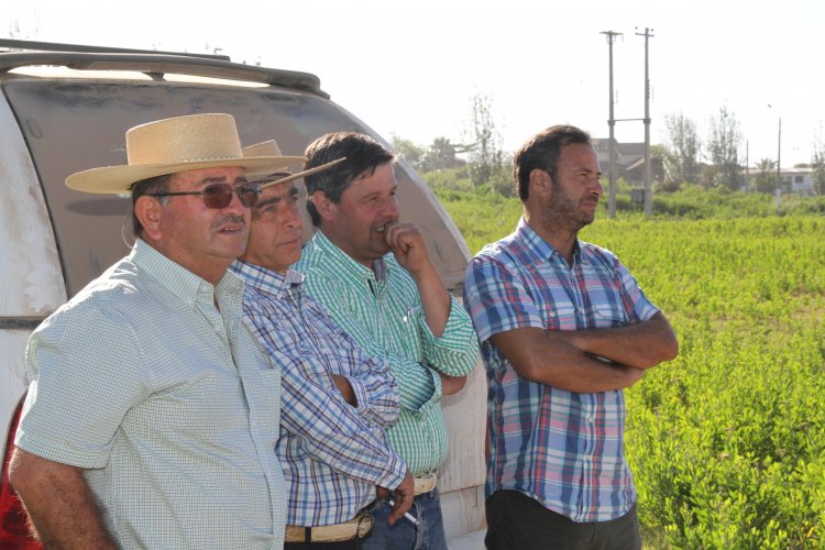 COMIENZAN A AFINARSE LOS DETALLES DE LA EXPO REGIÓN DE COQUIMBO 2017