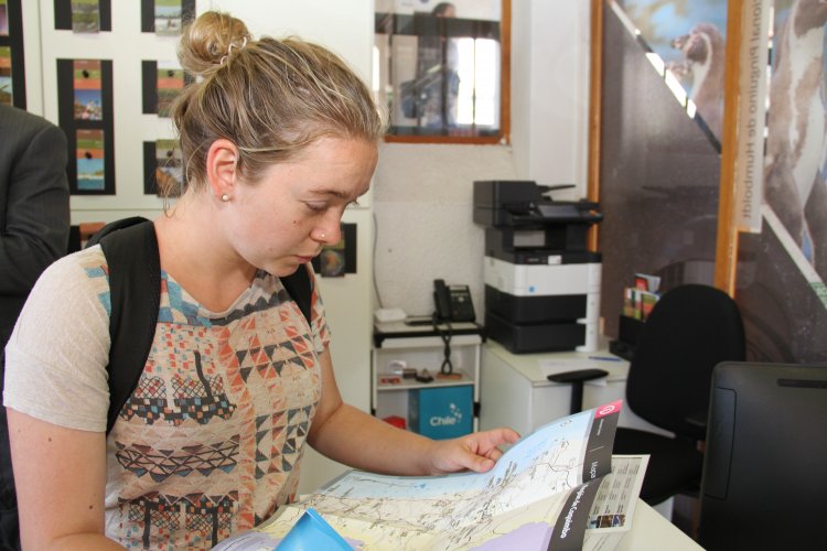 RESERVAS HOTELERAS ALCANZAN UN 80% DURANTE EL MES DE ENERO