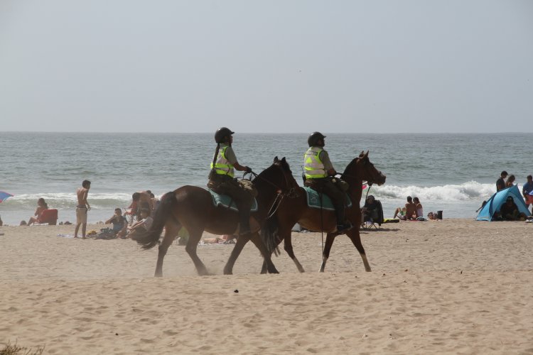 GOBIERNO ENTREGA RECOMENDACIONES PARA PREVENIR ROBOS EN EDIFICIOS EN TEMPORADA ESTIVAL