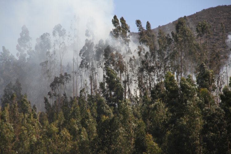 GOBIERNO Y POLICÍAS COORDINAN ACCIONES CONTRA EVENTUALES RESPONSABLES DE INCENDIOS QUE AFECTAN EL VALLE DE ELQUI
