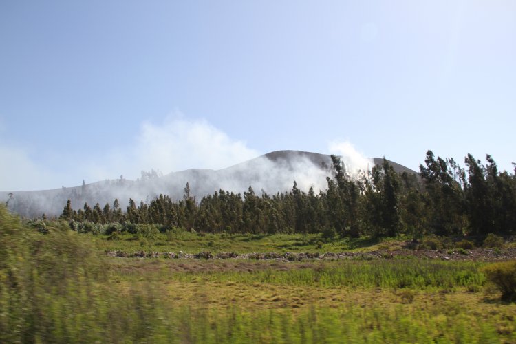GOBIERNO Y POLICÍAS COORDINAN ACCIONES CONTRA EVENTUALES RESPONSABLES DE INCENDIOS QUE AFECTAN EL VALLE DE ELQUI