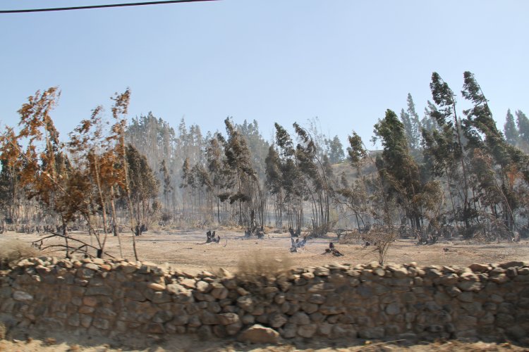 GOBIERNO Y POLICÍAS COORDINAN ACCIONES CONTRA EVENTUALES RESPONSABLES DE INCENDIOS QUE AFECTAN EL VALLE DE ELQUI