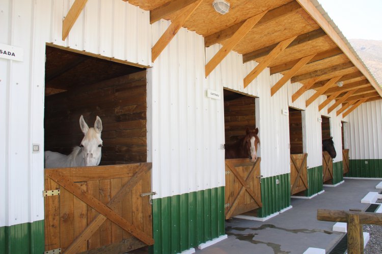 MÁS DE 5 MIL VECINOS DE PEDREGAL CUENTAN CON NUEVO RETÉN FRONTERIZO