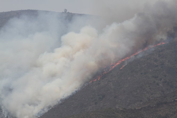 UN CENTENAR DE BRIGADISTAS, MAQUINARIA PESADA Y UN HELICÓPTERO LANZA AGUA TRABAJAN PARA CONTENER INCENDIO FORESTAL DE LOS VILOS