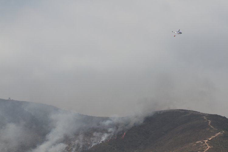 UN CENTENAR DE BRIGADISTAS, MAQUINARIA PESADA Y UN HELICÓPTERO LANZA AGUA TRABAJAN PARA CONTENER INCENDIO FORESTAL DE LOS VILOS