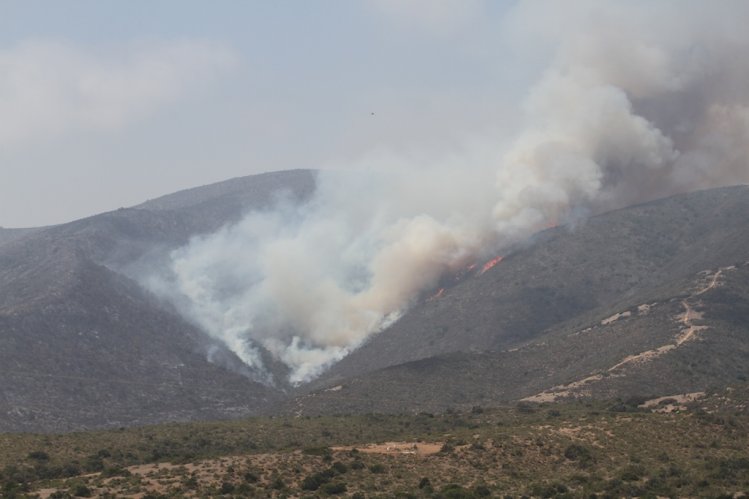 UN CENTENAR DE BRIGADISTAS, MAQUINARIA PESADA Y UN HELICÓPTERO LANZA AGUA TRABAJAN PARA CONTENER INCENDIO FORESTAL DE LOS VILOS