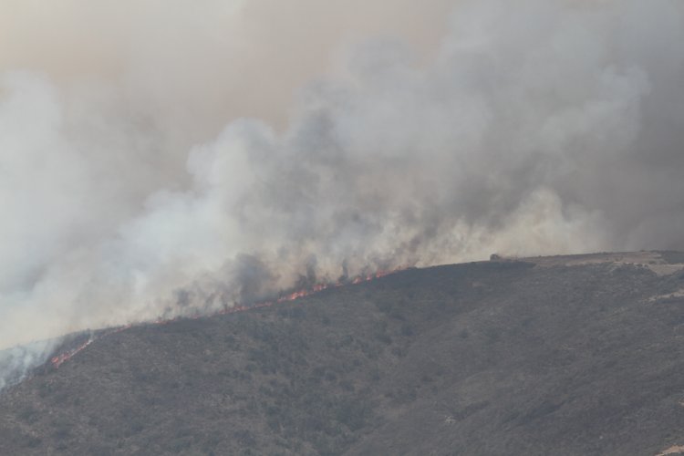 UN CENTENAR DE BRIGADISTAS, MAQUINARIA PESADA Y UN HELICÓPTERO LANZA AGUA TRABAJAN PARA CONTENER INCENDIO FORESTAL DE LOS VILOS