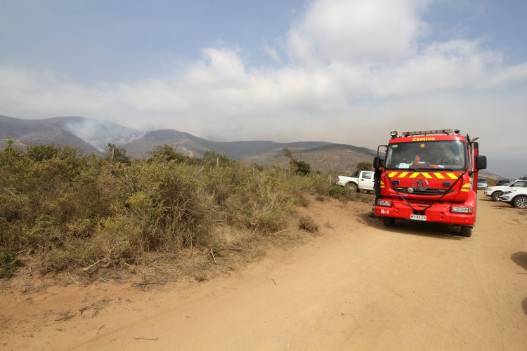 UN CENTENAR DE BRIGADISTAS, MAQUINARIA PESADA Y UN HELICÓPTERO LANZA AGUA TRABAJAN PARA CONTENER INCENDIO FORESTAL DE LOS VILOS