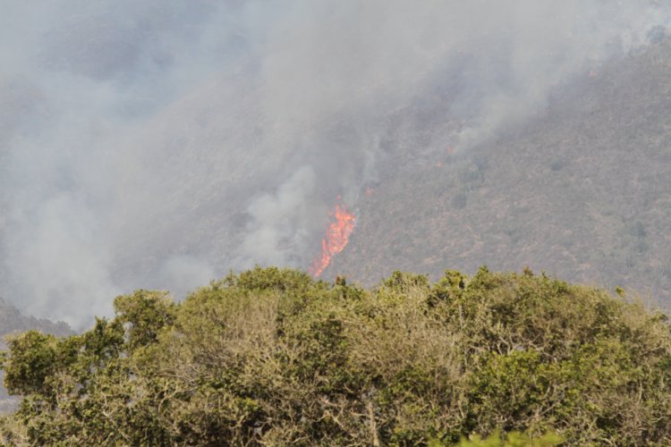 UN CENTENAR DE BRIGADISTAS, MAQUINARIA PESADA Y UN HELICÓPTERO LANZA AGUA TRABAJAN PARA CONTENER INCENDIO FORESTAL DE LOS VILOS