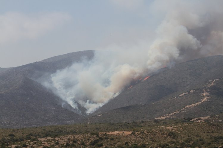 CON DOS SOBREVUELOS DE AVIÓN SUPERTANKER CONTINÚA COMBATE A INCENDIO EN COMUNA DE LOS VILOS